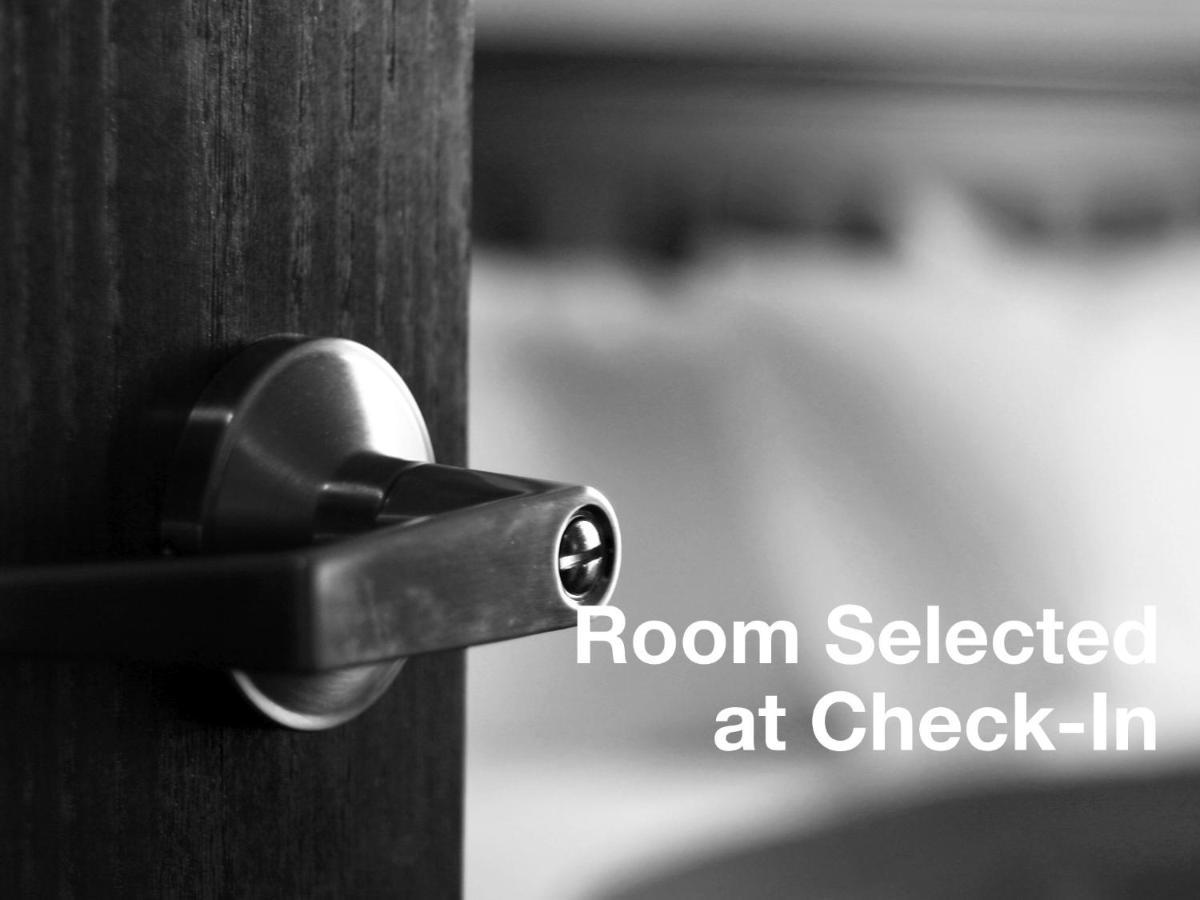 Staybridge Suites - Brownsville By Ihg Rum bild